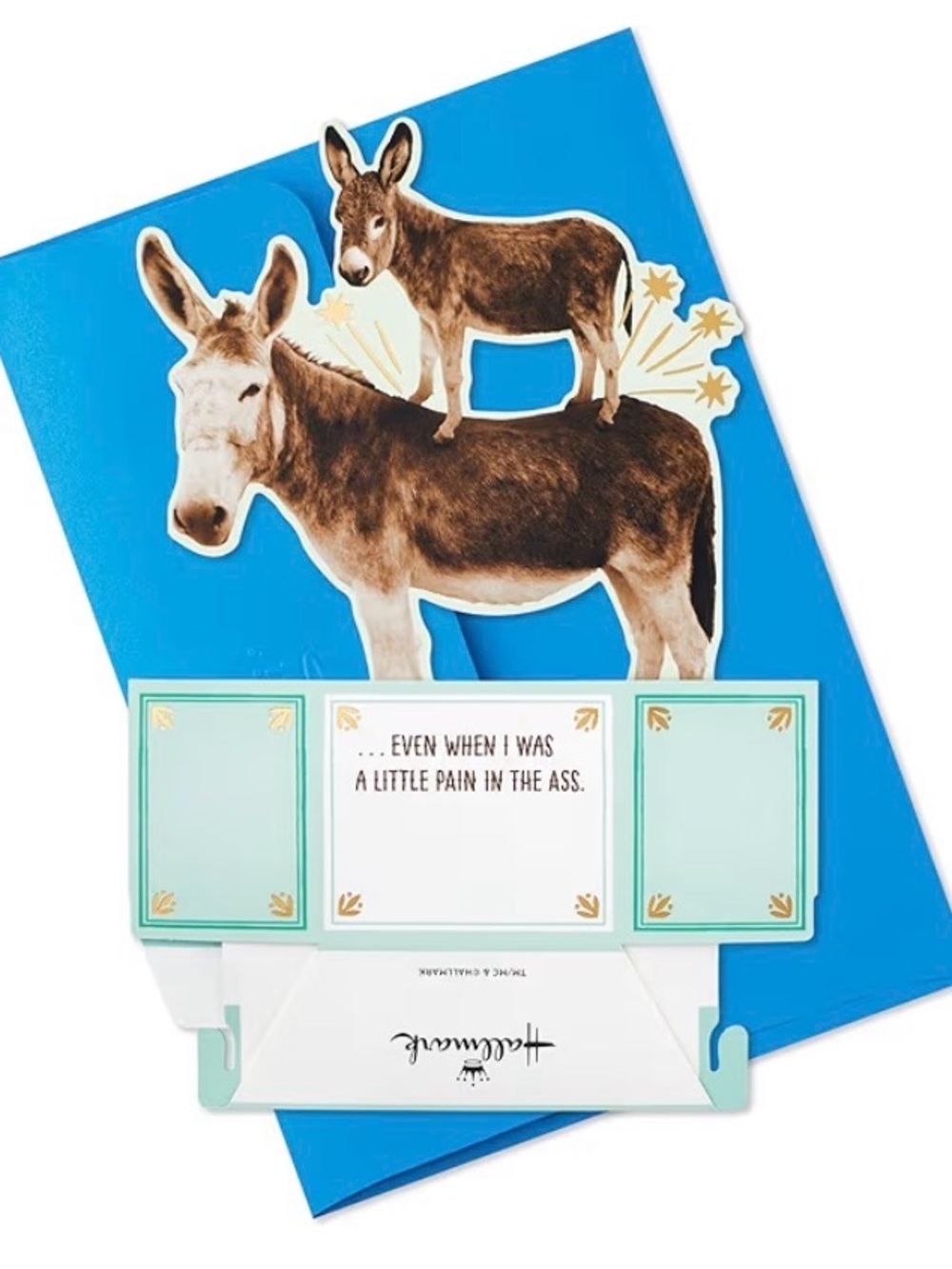 Hallmark Paper Wonder Pop-Up Card - Picture 3 of 6